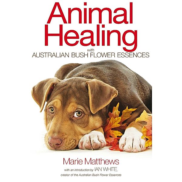 Animal Healing with Australian Bush Flower Essences, Marie Matthews