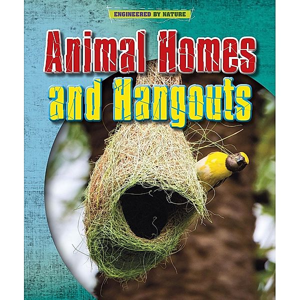 Animal Homes and Hang-outs, Louise Spilsbury