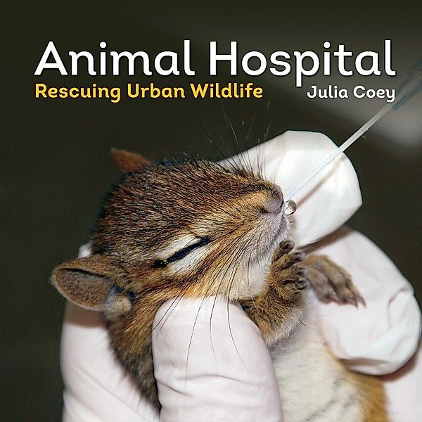 Animal Hospital, Julia Coey