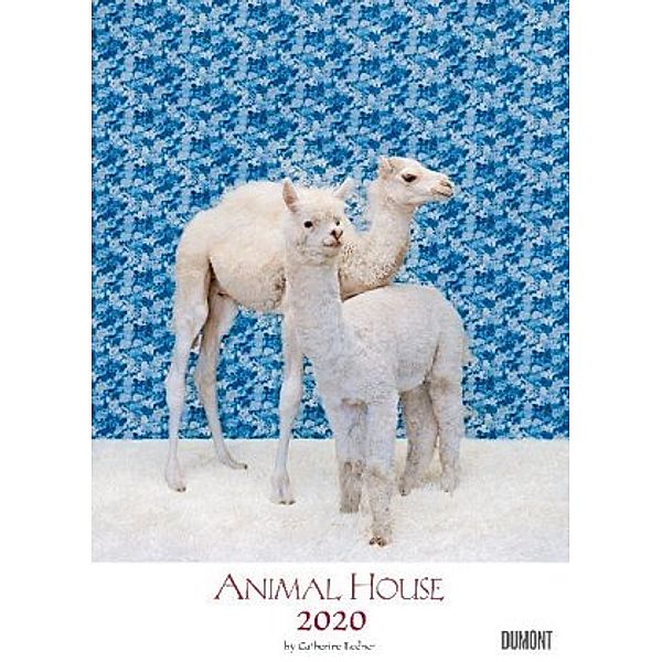 Animal House 2020