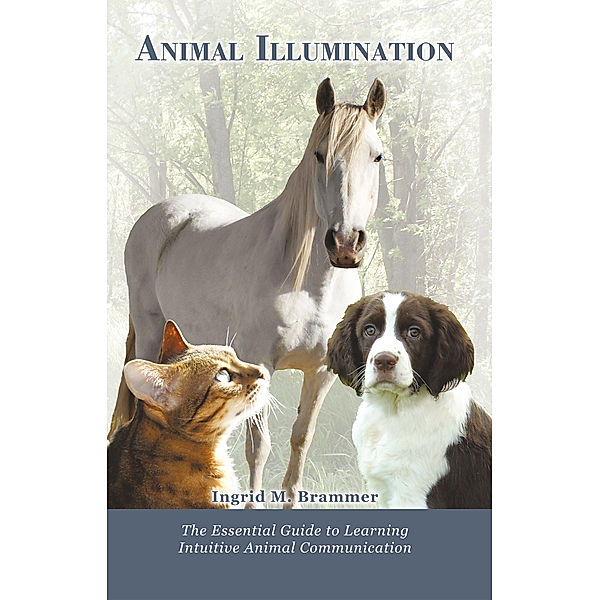 Animal Illumination, Ingrid M Brammer