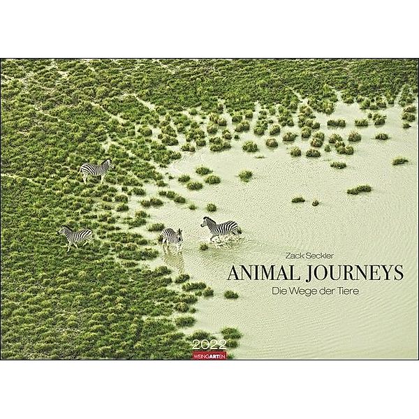 Animal Journeys 2022, Zack Seckler