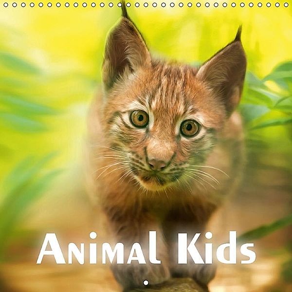 Animal Kids (Wall Calendar 2017 300 × 300 mm Square), Photoplace