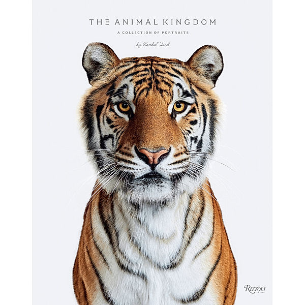 Animal Kingdom, Randal Ford