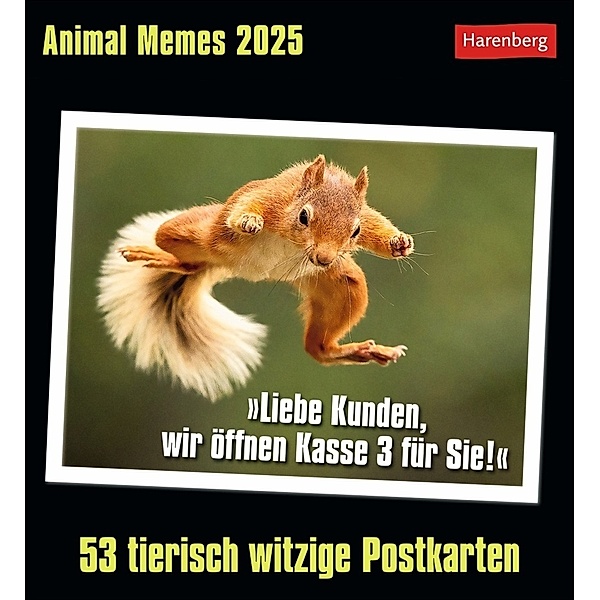 Animal Memes Postkartenkalender 2025 - 53 tierisch witzige Postkarten, Elena Merschhemke