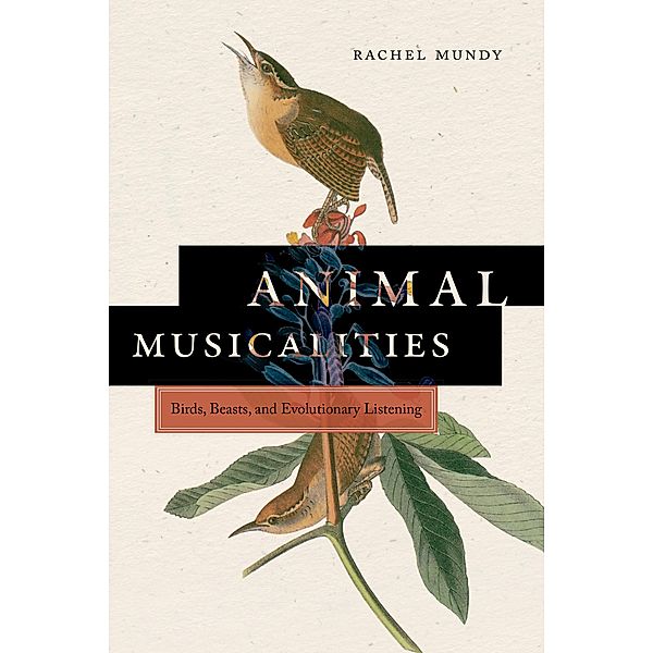 Animal Musicalities / Music / Culture, Rachel Mundy