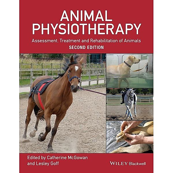 Animal Physiotherapy