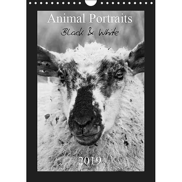 Animal Portraits Black & White 2019 CH Version (Wandkalender 2019 DIN A4 hoch), Peter Hebgen