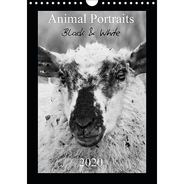 Animal Portraits Black & White 2020 CH Version (Wandkalender 2020 DIN A4 hoch), Peter Hebgen