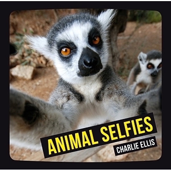Animal Selfies, Charlie Ellis