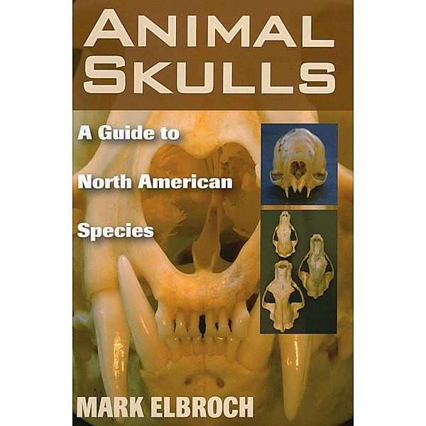 Animal Skulls, Mark Elbroch