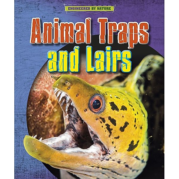 Animal Traps and Lairs, Louise Spilsbury