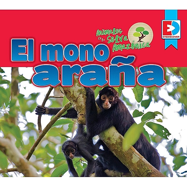 Animales de la Selva Amazónica - El mono araña, Katie Gillespie