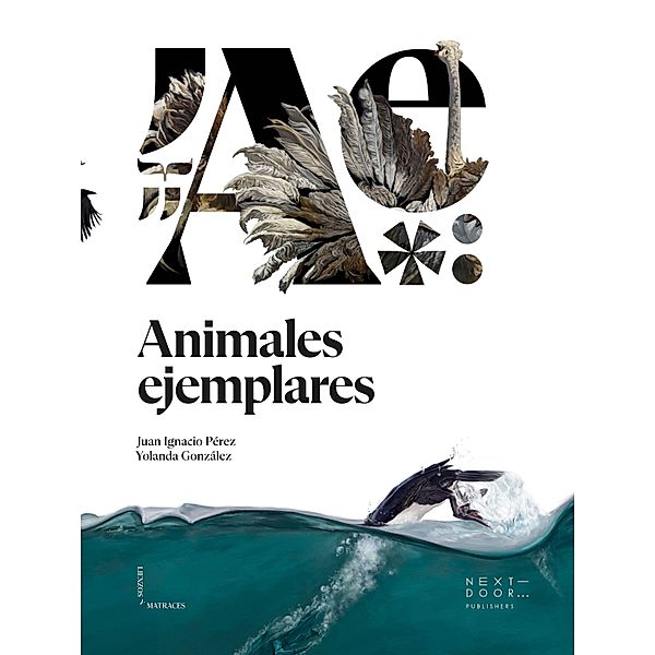 Animales ejemplares / Lienzos y Matraces Bd.11, Juan Ignacio Pérez