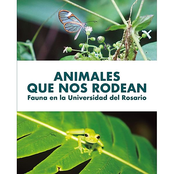Animales que nos rodean / Ciencias naturales, Frasella Martino de Fonseca, Mateo Quecano Cárdenas