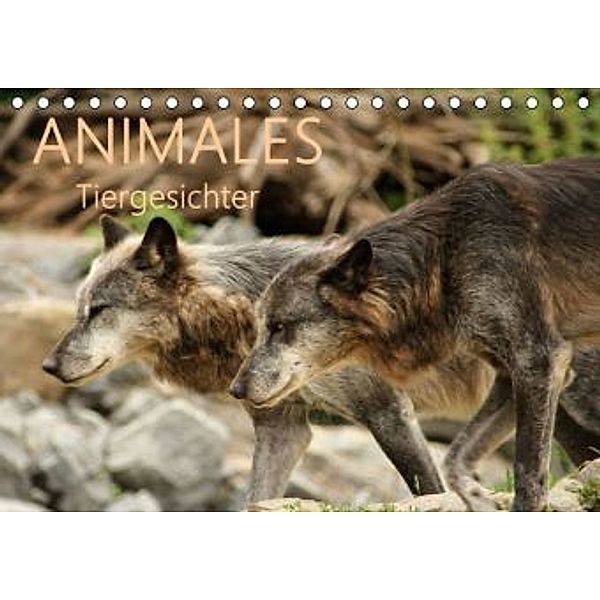 ANIMALES Tiergesichter (Tischkalender 2015 DIN A5 quer), Meike Dettlaff