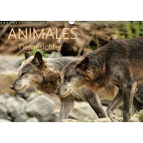 ANIMALES Tiergesichter (Wandkalender 2015 DIN A3 quer), Meike Dettlaff