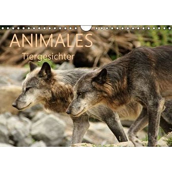 ANIMALES Tiergesichter (Wandkalender 2015 DIN A4 quer), Meike Dettlaff