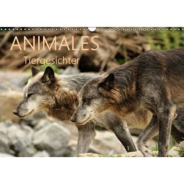 ANIMALES Tiergesichter (Wandkalender 2016 DIN A3 quer), Meike Dettlaff