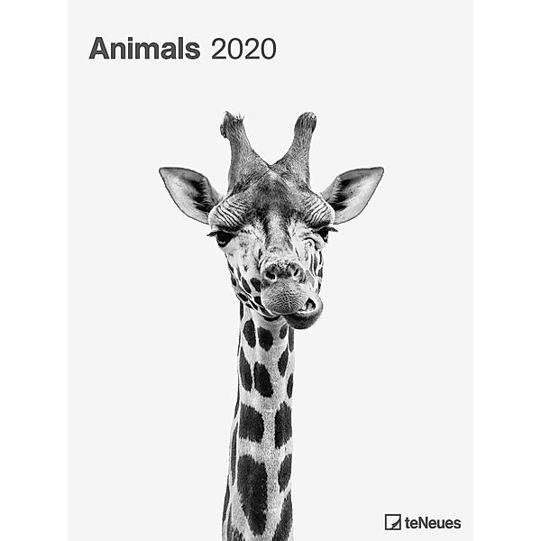 Animals 2020