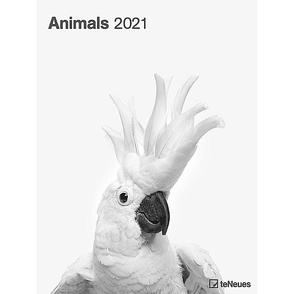 Animals 2021