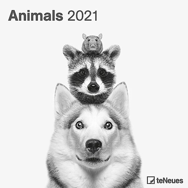 Animals 2021