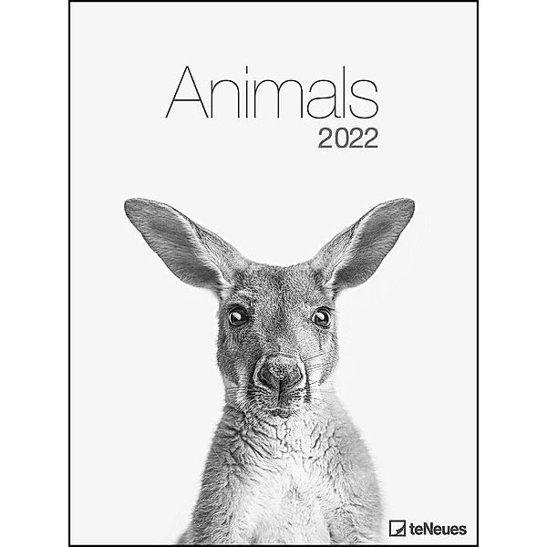 Animals 2022 - Foto-Kalender - Poster-Kalender - 48x64 - Tiere