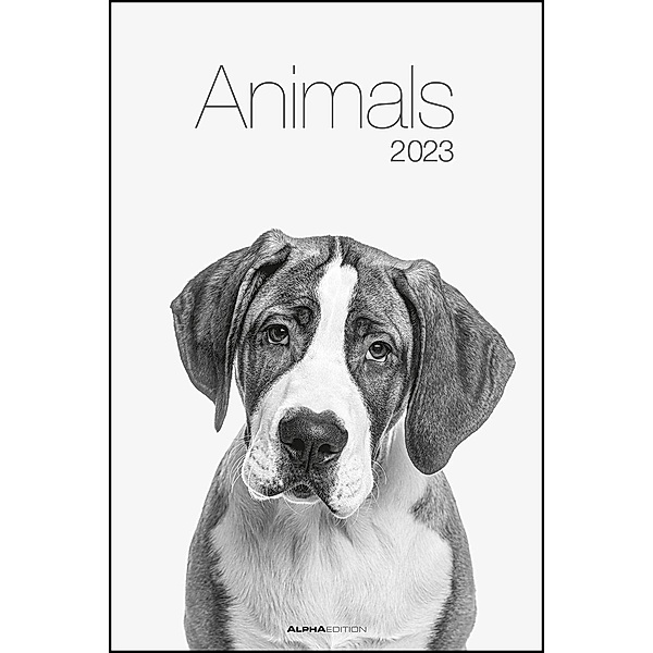 Animals 2023 - Foto-Kalender - Poster-Kalender - 33x49,5 - Tiere