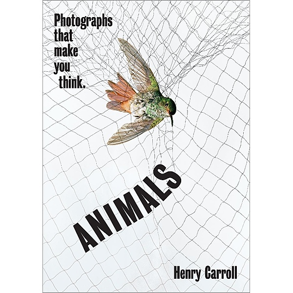 ANIMALS, Henry Carroll