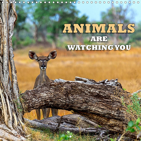 Animals are watching you (Wall Calendar 2023 300 × 300 mm Square), Birgit Harriette Seifert