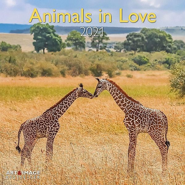 Animals in Love 2021