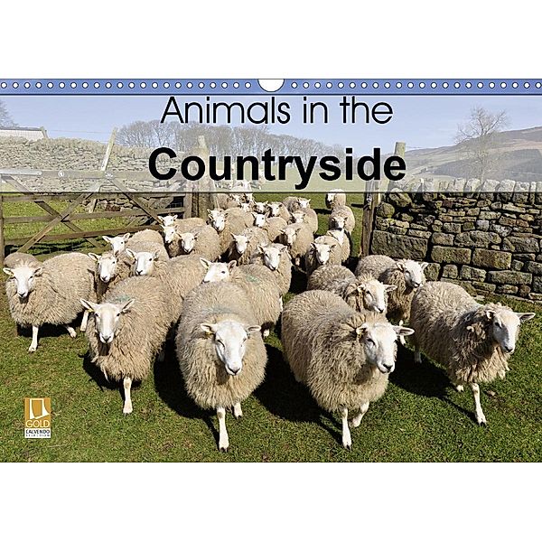 Animals in the countryside (Wall Calendar 2021 DIN A3 Landscape), Andrew Kearton