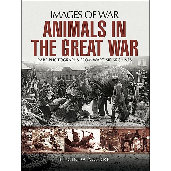 Animals in the Great War, Lucinda Moore