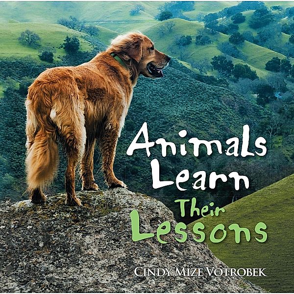 Animals Learn Their Lessons, Cindy Mize Votrobek