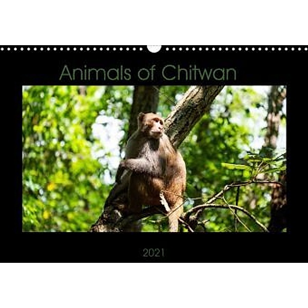 Animals of Chitwan (Wall Calendar 2021 DIN A3 Landscape), Christina Fink
