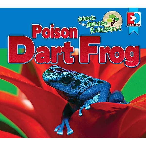 Animals of the Amazon Rainforest: Poison Dart Frog, Katie Gillespie