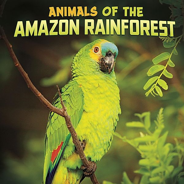Animals of the Amazon Rainforest / Raintree Publishers, Mari Schuh