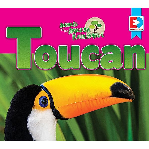 Animals of the Amazon Rainforest: Toucan, Katie Gillespie