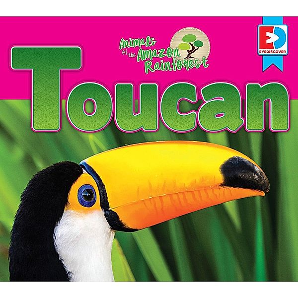 Animals of the Amazon Rainforest: Toucan, Katie Gillespie