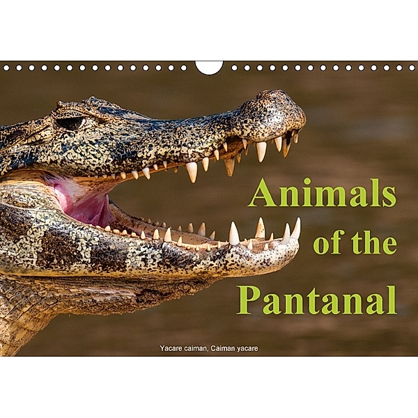 Animals of the Pantanal / UK Version (Wall Calendar 2018 DIN A4 Landscape), Juergen Woehlke