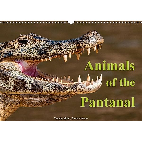 Animals of the Pantanal / UK Version (Wall Calendar 2017 DIN A3 Landscape), Juergen Woehlke