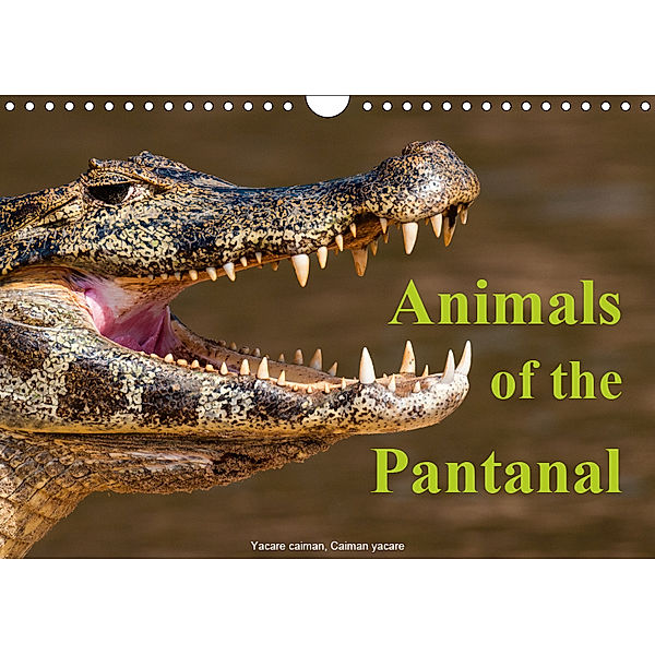Animals of the Pantanal / UK Version (Wall Calendar 2019 DIN A4 Landscape), Juergen Woehlke