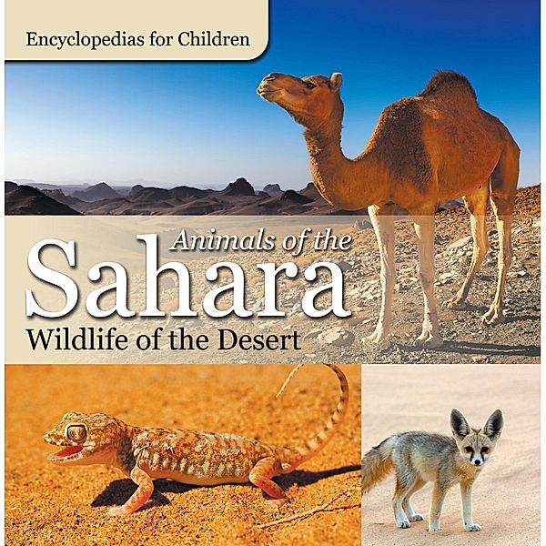 Animals of the Sahara | Wildlife of the Desert | Encyclopedias for Children / Baby Professor, Baby