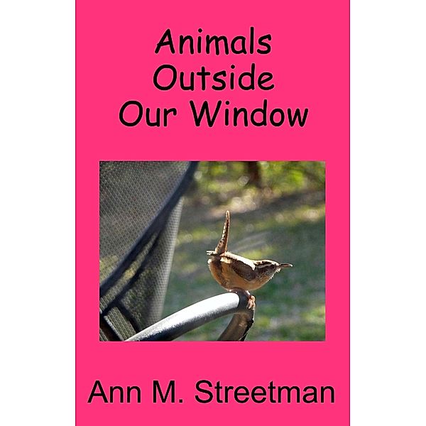 Animals Outside Our Window, Ann M Streetman