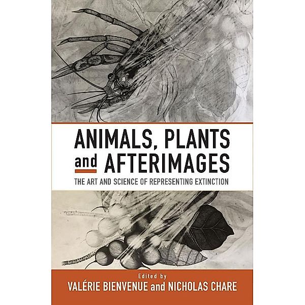 Animals, Plants and Afterimages