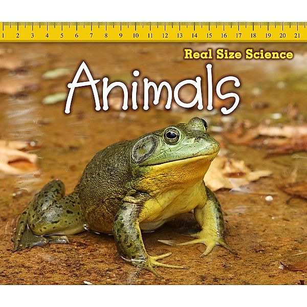 Animals / Raintree Publishers, Rebecca Rissman