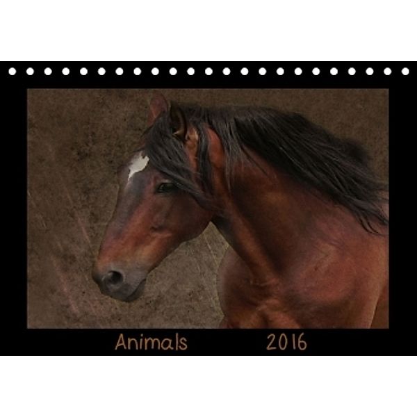 Animals (Tischkalender 2016 DIN A5 quer), Claudia Möckel, Lucy L!u