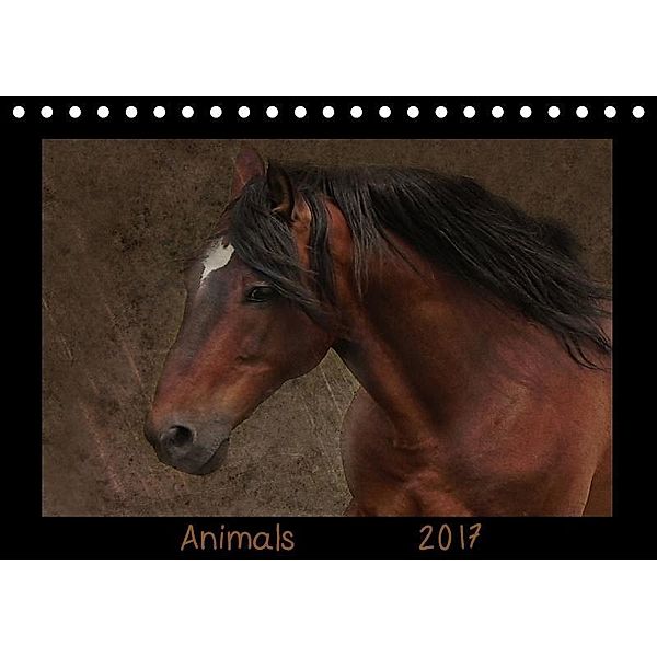 Animals (Tischkalender 2017 DIN A5 quer), Claudia Möckel / Lucy L!u