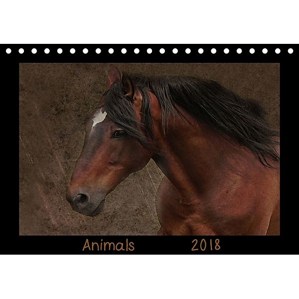 Animals (Tischkalender 2018 DIN A5 quer), Claudia Möckel / Lucy L!u