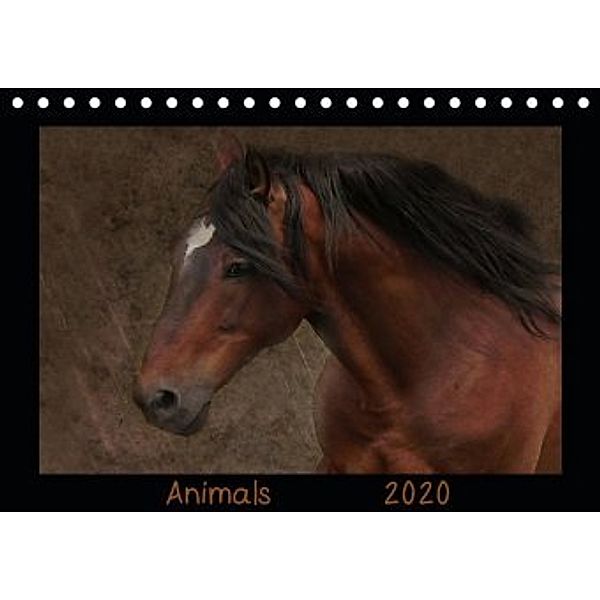 Animals (Tischkalender 2020 DIN A5 quer), Claudia Möckel / Lucy L!u